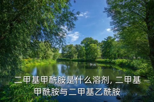  二甲基甲酰胺是什么溶劑, 二甲基甲酰胺與二甲基乙酰胺