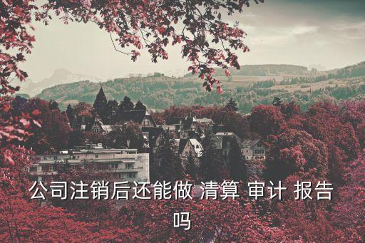 公司注銷后還能做 清算 審計 報告嗎