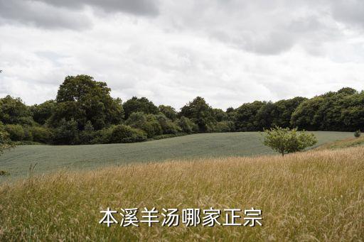 羊湯館,羊肉湯館排名出爐!一品鮮、崔穎香、仁升、樂樂香、金秋、杏花樓肉湯
