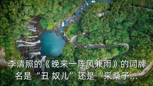  李清照的《晚來一陣風兼雨》的詞牌名是“丑 奴兒”還是“采桑子...