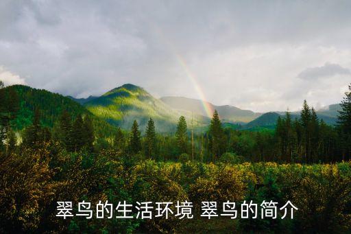 翠鳥的資料,描寫翠鳥活動時注意捕捉動詞以突出形態(tài)美
