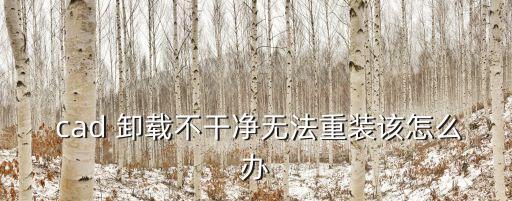 cad無法卸載,怎么卸載和修復軟件?