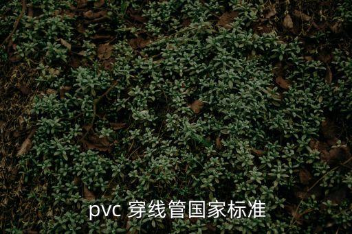  pvc 穿線管國(guó)家標(biāo)準(zhǔn)