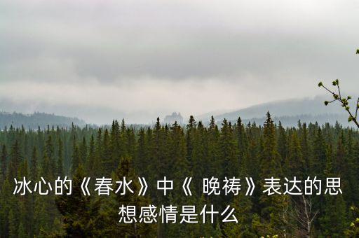 冰心的《春水》中《 晚禱》表達(dá)的思想感情是什么