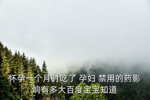 懷孕一個月時吃了 孕婦 禁用的藥影響有多大百度寶寶知道