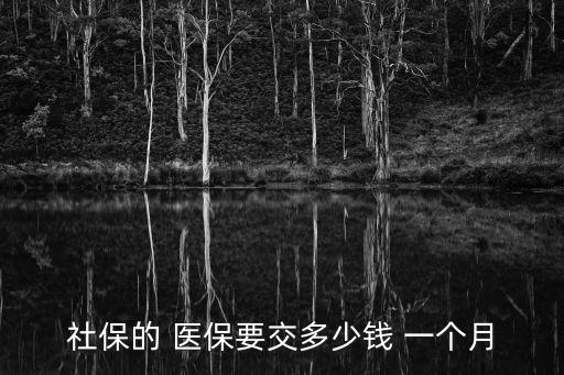 社保的 醫(yī)保要交多少錢 一個月