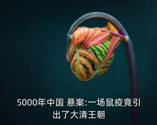 滿蒙懸案,清朝四大懸案:光緒之死和5000年中國懸案
