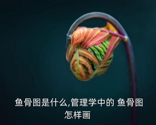  魚骨圖是什么,管理學(xué)中的 魚骨圖怎樣畫