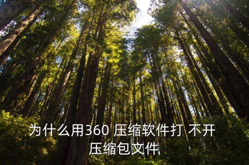 壓縮包打不開,系統故障導致壓縮文件無法正常運作