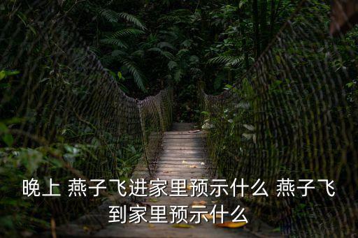 晚上 燕子飛進家里預示什么 燕子飛到家里預示什么