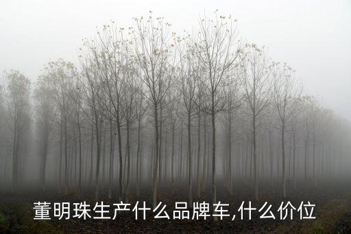珠海銀隆,董明珠和珠海銀隆之間發生了什么事情?