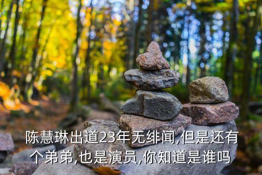  陳慧琳出道23年無緋聞,但是還有個弟弟,也是演員,你知道是誰嗎