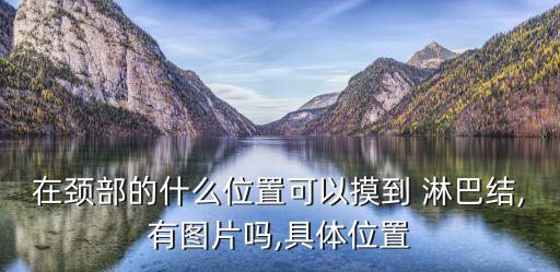 淋巴圖片大全,淋巴結(jié)腫大圖片誰(shuí)有?一起來(lái)看看這里!