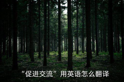 “促進交流”用英語怎么翻譯
