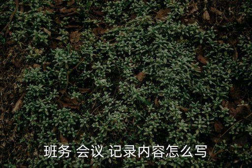 班級會議記錄,班級以每組為單位每組由班長負責記錄每天登記
