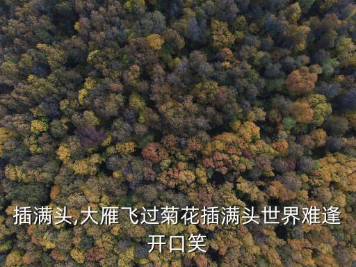 菊花插滿頭,大雁飛過菊花插滿頭世界難逢開口笑