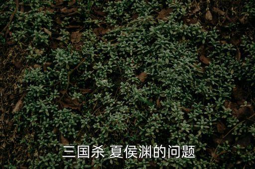 三國殺夏侯淵,快速忽略距離夏侯淵每回合最多殺兩次