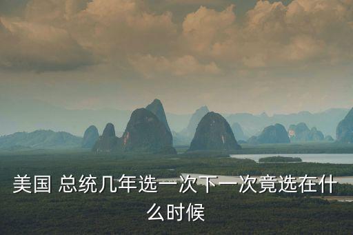 美國總統(tǒng)大選,總統(tǒng)候選人選舉程序