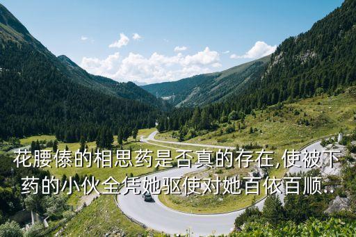 傣家小妹,歌曲:《傣家小妹走過來》第一句是什么?