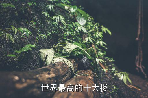 世界最高的樓,西爾斯大廈是世界最高建筑