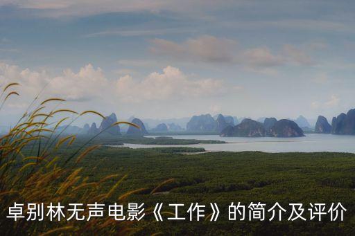 工作簡介,我國曾制定《會計師工作規則》后廢止