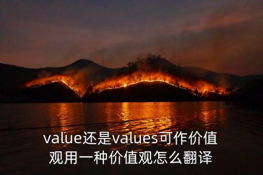 value還是values可作價(jià)值觀用一種價(jià)值觀怎么翻譯