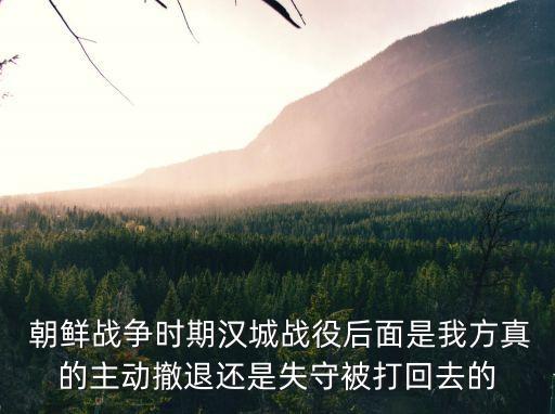 我的朝鮮戰爭,抗美援朝:美國聯合國軍主要打朝鮮國軍