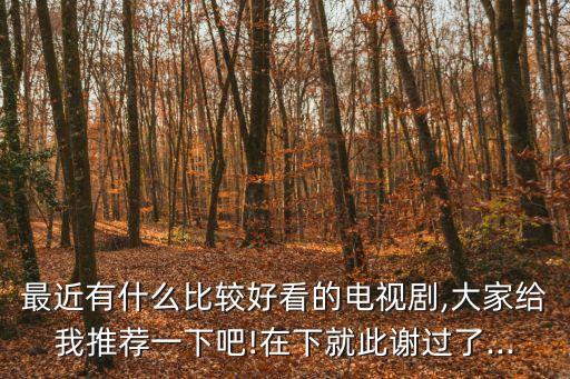 最近有什么比較好看的電視劇,大家給我推薦一下吧!在下就此謝過了...