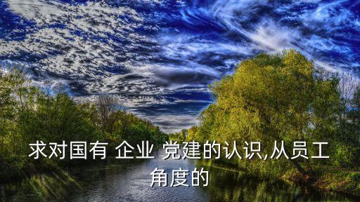 求對國有 企業 黨建的認識,從員工角度的