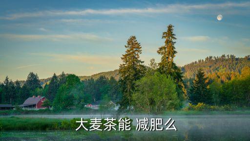 大麥茶減肥嗎,喝大麥茶可養(yǎng)顏又瘦身