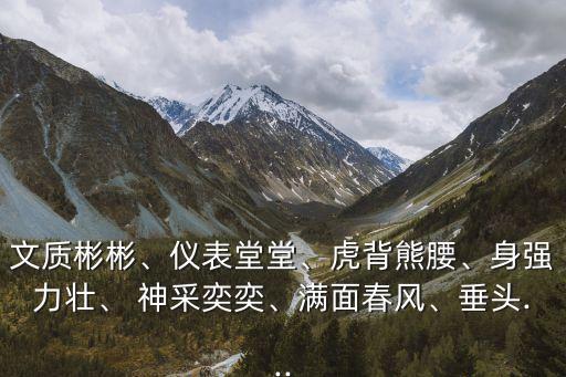 文質彬彬、儀表堂堂、虎背熊腰、身強力壯、 神采奕奕、滿面春風、垂頭...