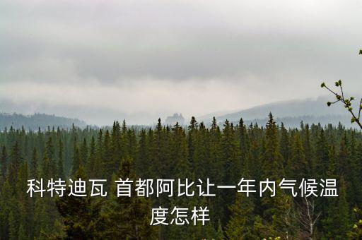 科特迪瓦首都,經(jīng)濟(jì)首都阿比讓是科特迪瓦政治、經(jīng)濟(jì)、文化中心