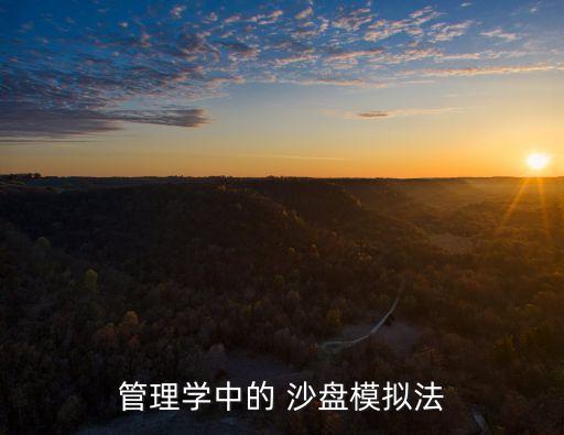 管理學中的 沙盤模擬法