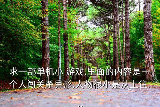 求一部單機小 游戲,里面的內容是一個人闖關殺異形,人物很小是從上往...