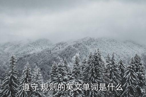 規則的英語,關于規則的諺語,短語相關英語短語