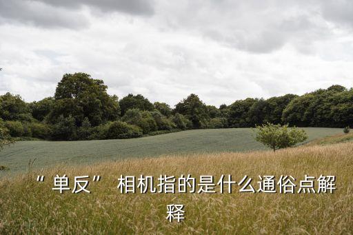 單反相機是什么意思,單反是什么?