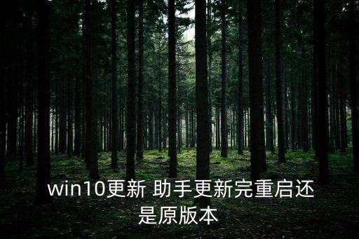 win10更新 助手更新完重啟還是原版本