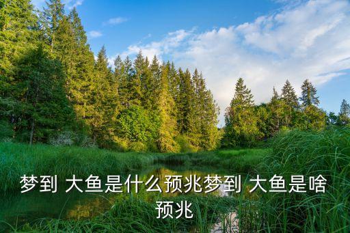 夢見很多大魚,你所夢見的魚有何來頭?
