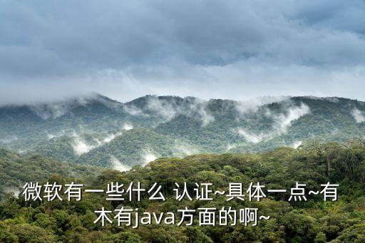 微軟有一些什么 認證~具體一點~有木有java方面的啊~