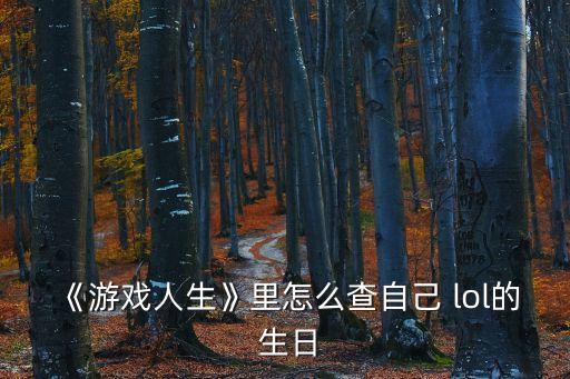《游戲人生》里怎么查自己 lol的 生日
