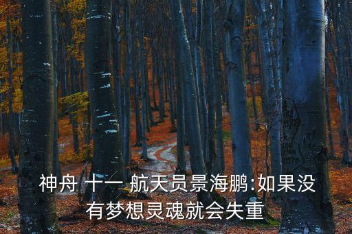神舟十一號航天員,神舟十一號航天員是哪兩個人?