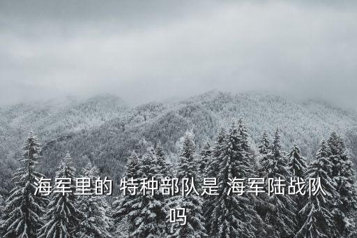 中國海軍特種部隊,海軍陸戰(zhàn)隊:承擔渡海登陸任務軍種之一
