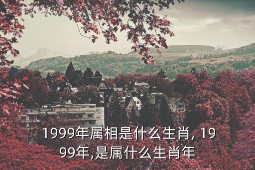 1999屬什么,99年屬什么生肖?