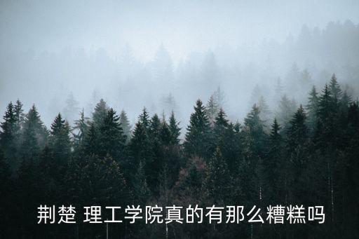  荊楚 理工學院真的有那么糟糕嗎