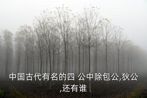 公中,四大名鑼響了!包公包拯、盧公、柳永