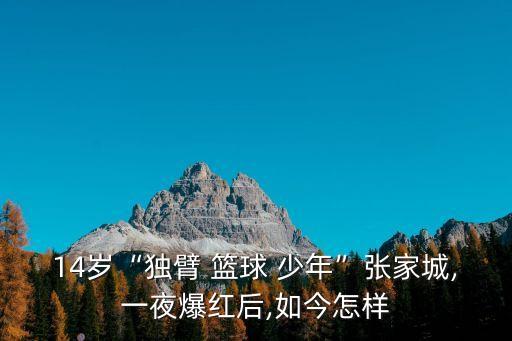 14歲“獨臂 籃球 少年”張家城,一夜爆紅后,如今怎樣