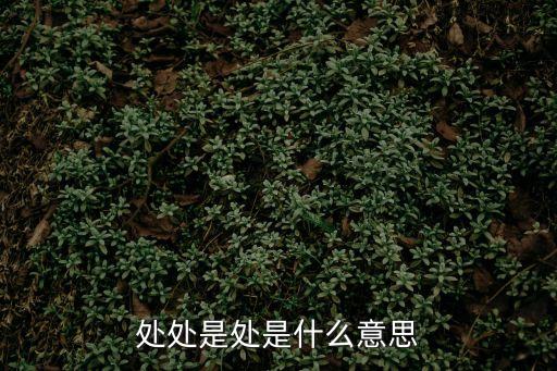 處處是處是什么意思