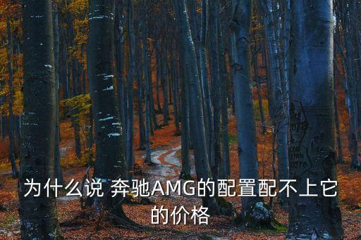 為什么說 奔馳AMG的配置配不上它的價格