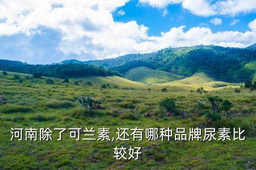 西洋集團(tuán),中國(guó)汽車(chē)排氣管堵塞事件