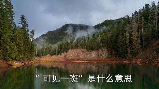 可見一斑的意思,可見一斑源自南朝宋義慶:此郎亦窺豹